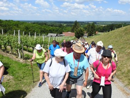Pomlad v prleških goricah 2017 100